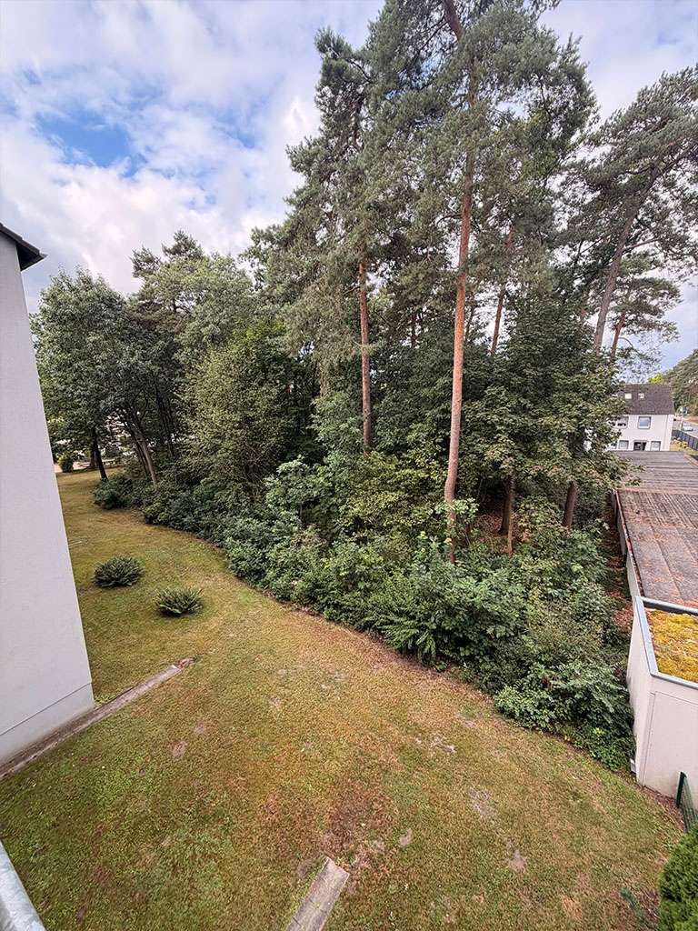 Ausblick